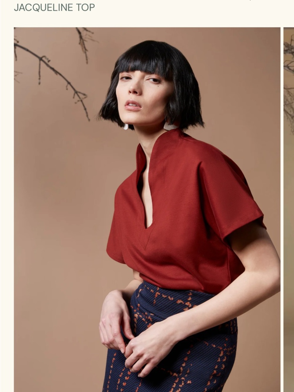 Jacqueline Notch-Neck Short Sleeve Top — Brick Red